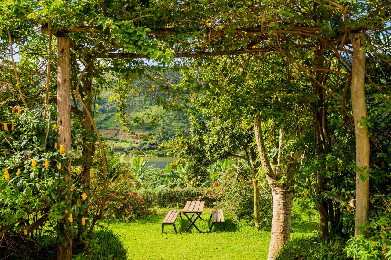 Garden lawn and picnic table framed by a leafy trellis